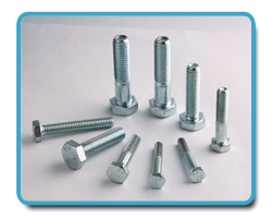 Hastelloy Fasteners